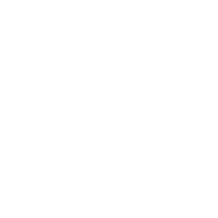 Startups & Founder icons 200x200 - 2.2