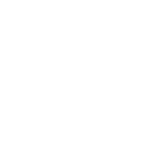Startups & Founder icons 200x200 - 2.4