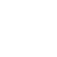 Startups & Founder icons 200x200 - 2.5